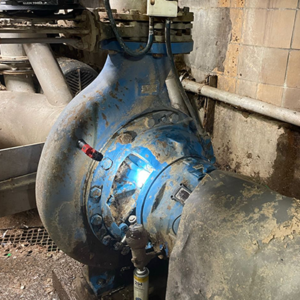 Process Pump